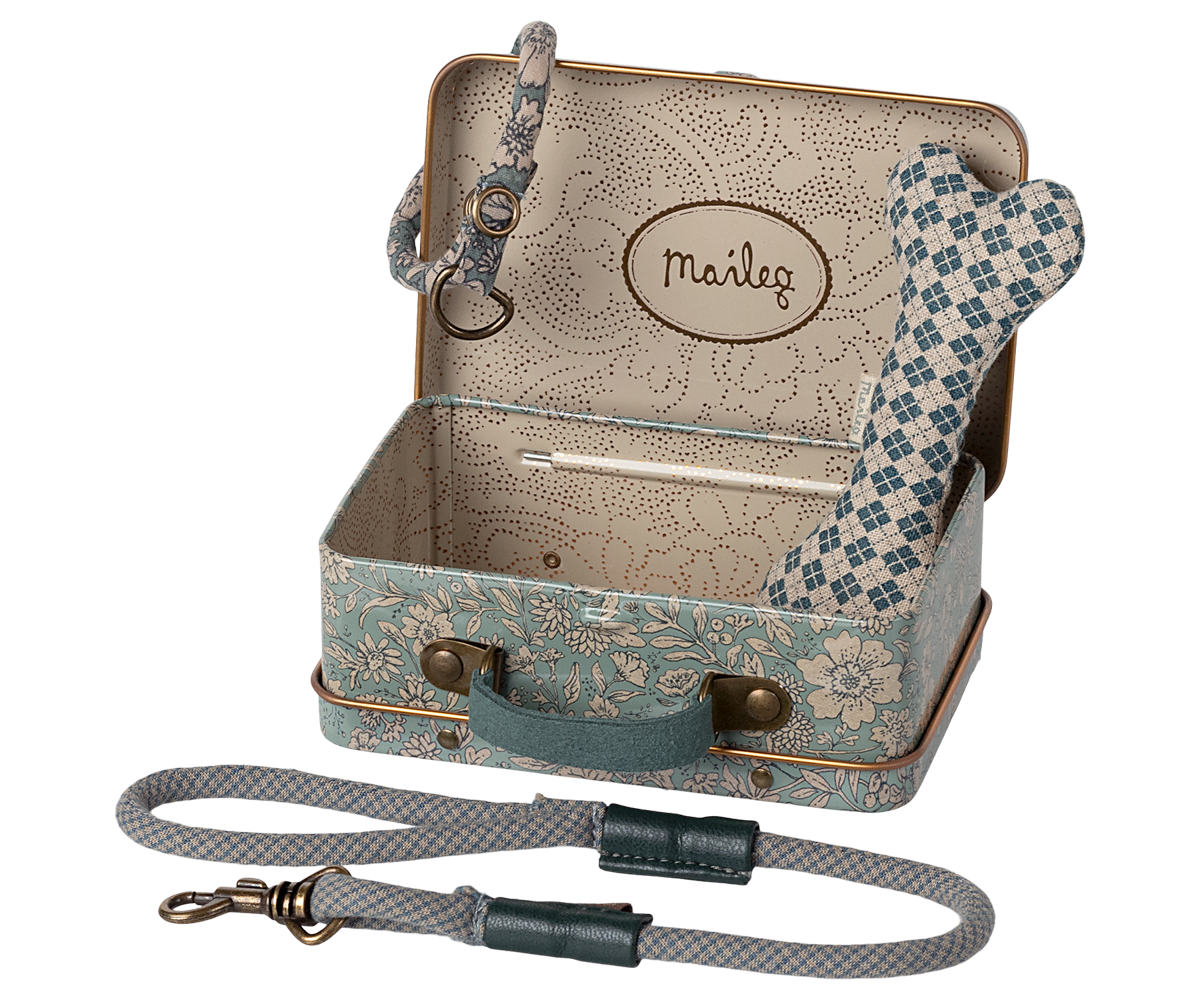 Accesorios para cachorro - azul