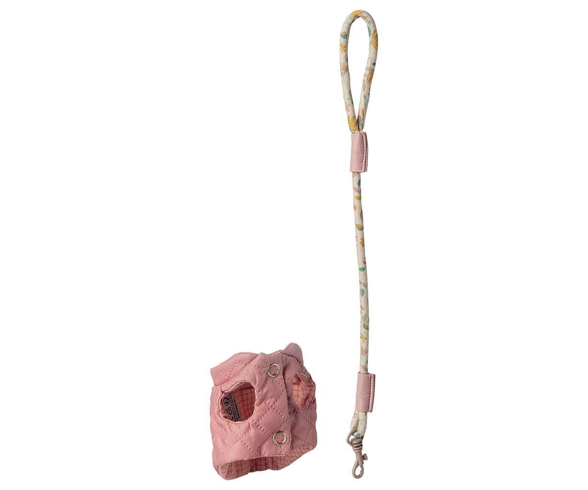 Arnés y correa para mascota - rosa